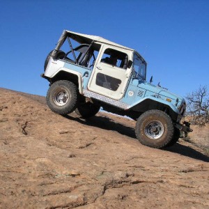 Fins & Things 115
