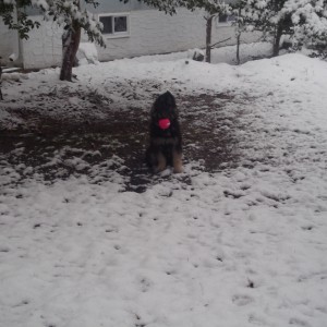 snow