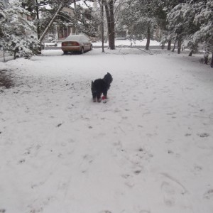 snow2