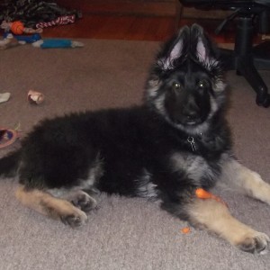 12 weeks
