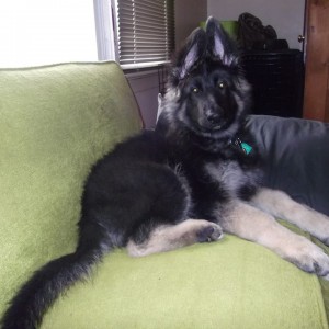 couch