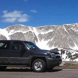 Avy Wy