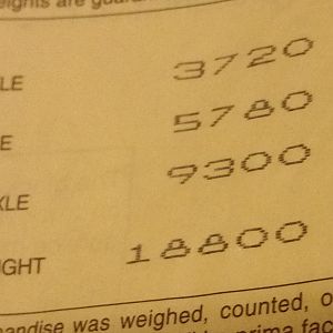 Avy Trailer K5 WY Move