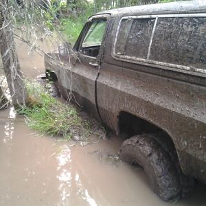 Ymmmm......mud!