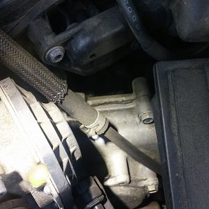 timing cover