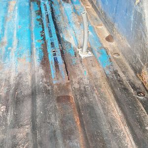 Tank vent hose