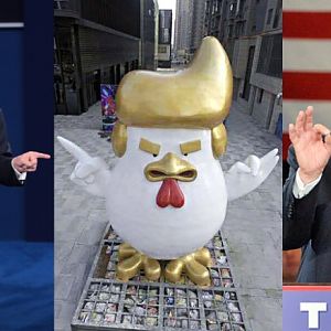 Trump rooster