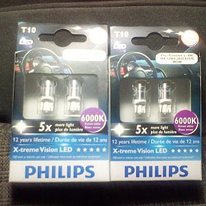 bulbs