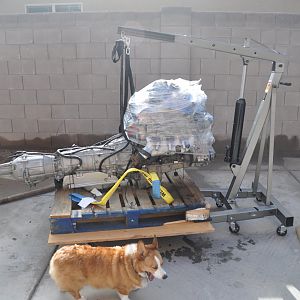 New driveline