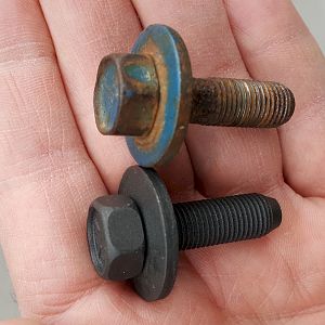 door hinge bolts