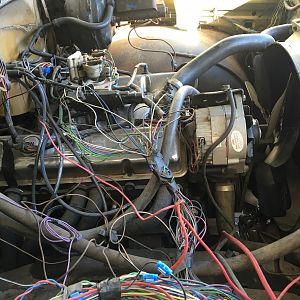 more rats nest