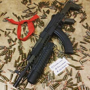 Saiga bo
