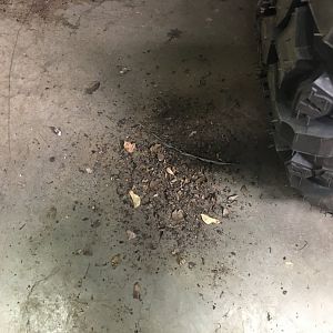 Dirt