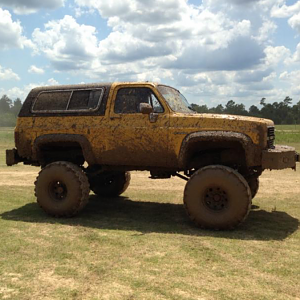 Ole yeller