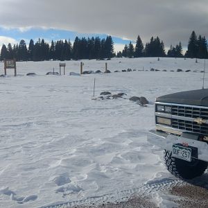 snow run 17