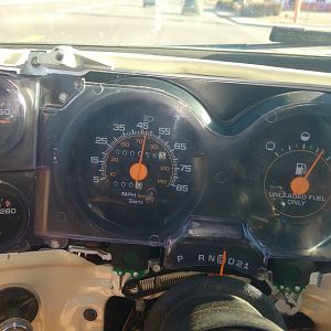 speedo works