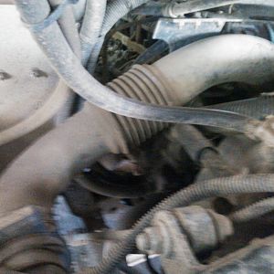 workhorse intake tube