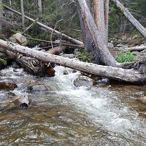 Middle St Vrain-runoff