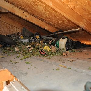 Ceiling of shed