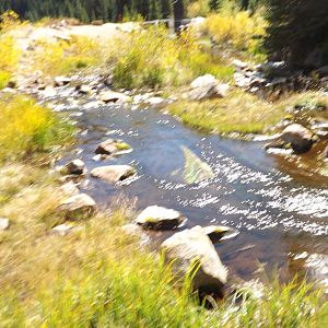 creek