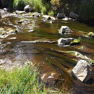 creek 2