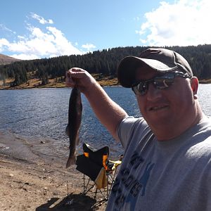 my catch