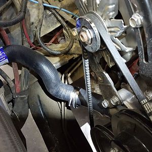 Lower radiator hose