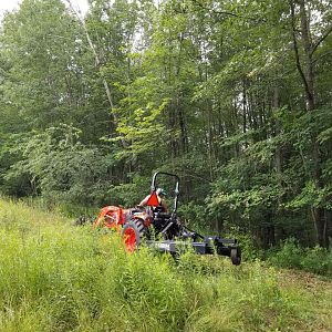 mowing