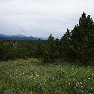 scenic view