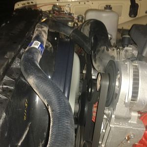 It's alive again.