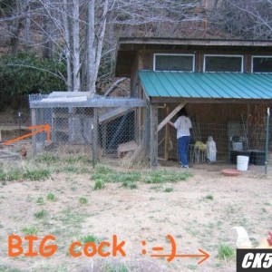 shack