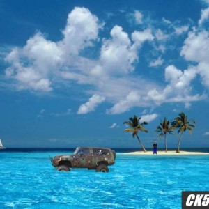 n_paradise