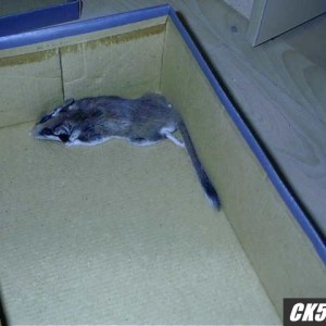 WTF??
