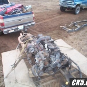 Cummins1