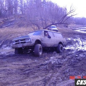 Beast_stuck_1