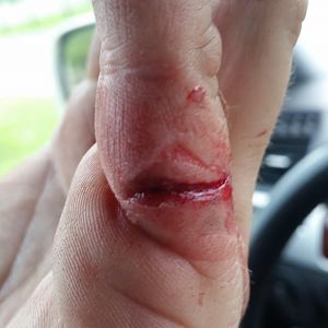 nice cut
