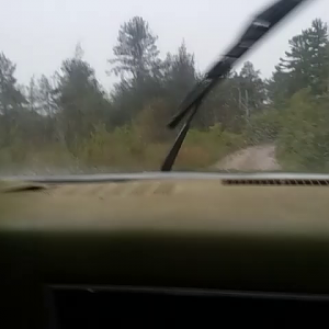 Puddles
