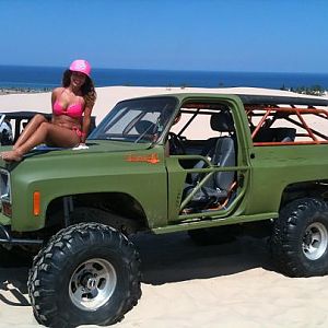 Silver lake hood ornament