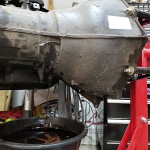 Draining trans fluid