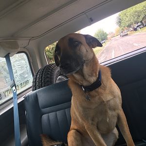 My ride or die