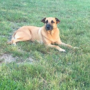 Sadie