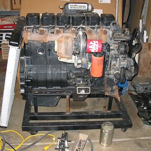 Cummins