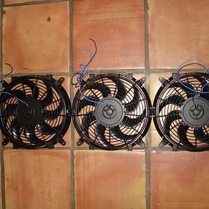 Fans