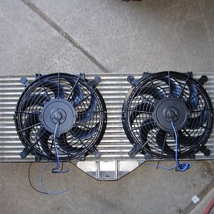 Fans