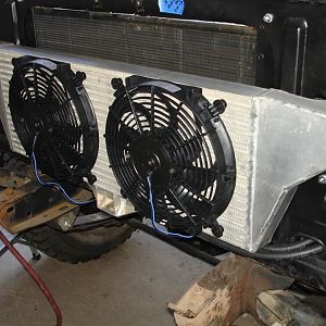 Fans