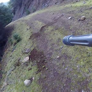 Cow skidmarks