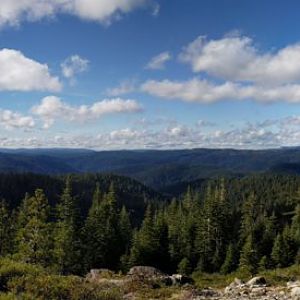Poker Flat Trail Pano 2
