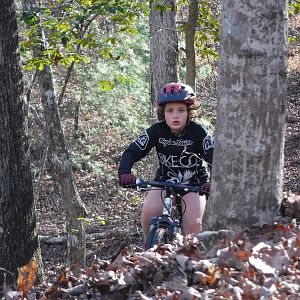 Little one shredding BSF