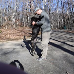 Dog is Happy to be there