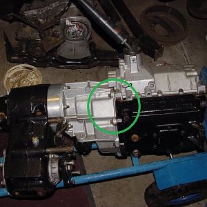 shifter location